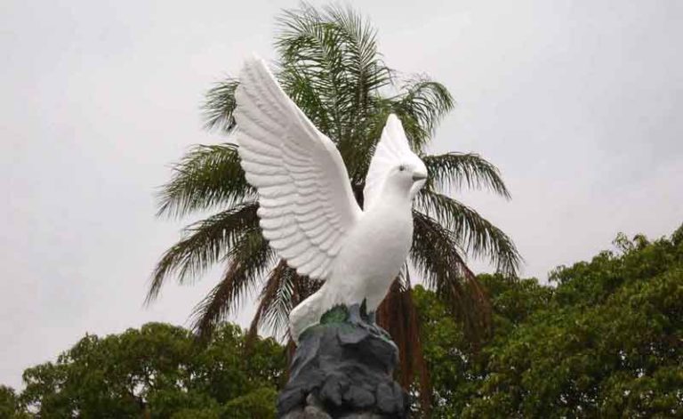 Colombe du rond point Jean Paul II